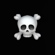Skull Profile Photo