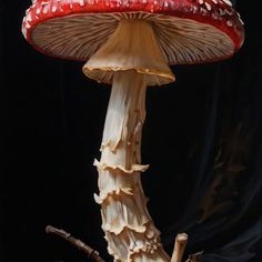 Mushroom