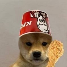 Dog With Hat Display Picture