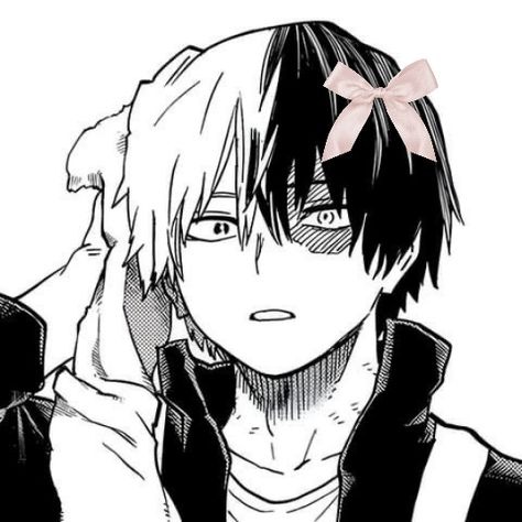 Todoroki Aesthetic Avatar