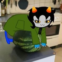Nepeta Leijon Pfp