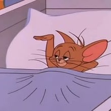 Jerry Profile Picture