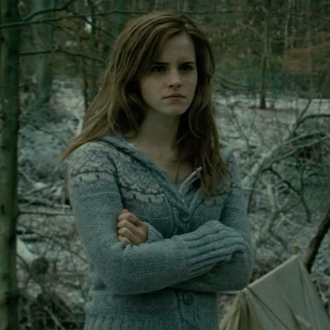 8272-hermione-granger.png