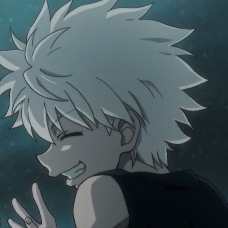 Hunter X Hunter Matching Profile Icon