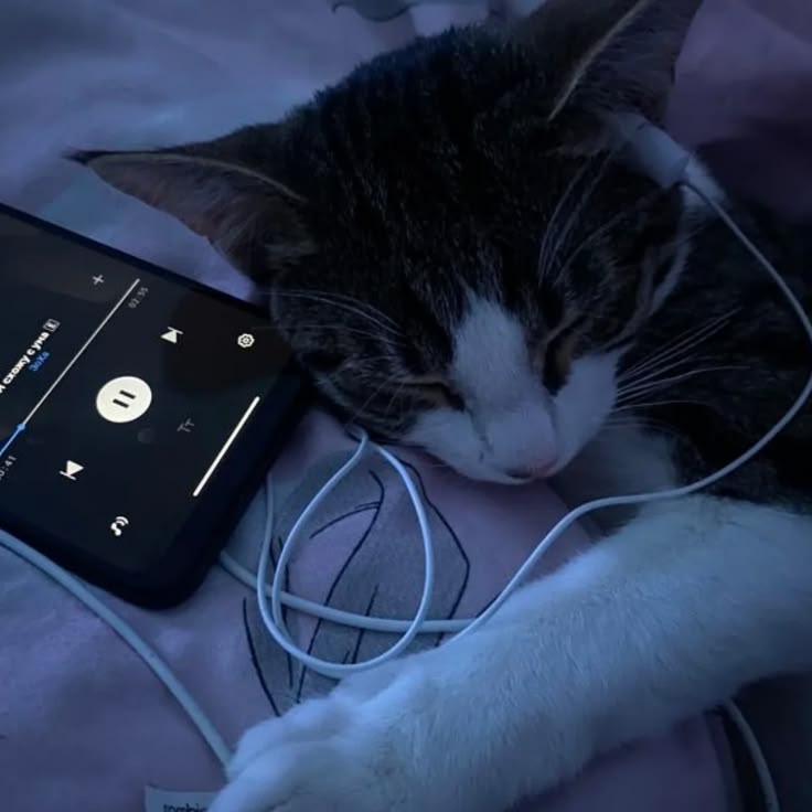 Catlisteningtomusic Pfp