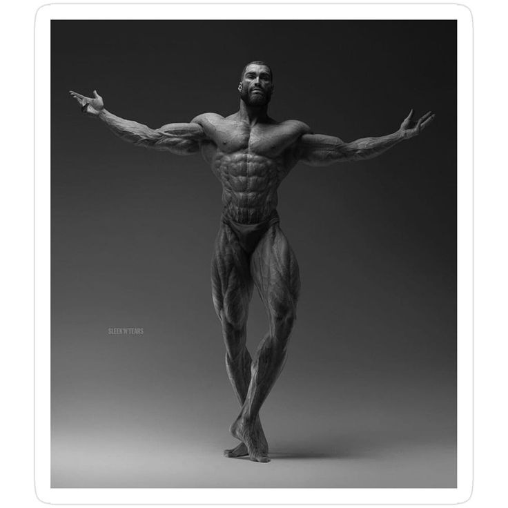 Muscle Man