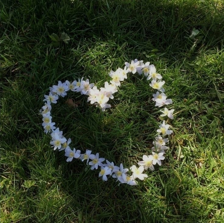 GreenHeart Pfp