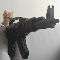 Cat With Gun
