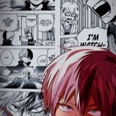 Todoroki Aesthetic