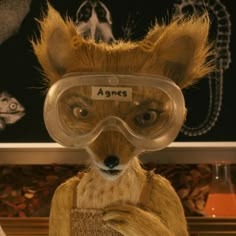 Fantastic Mr Fox Matching