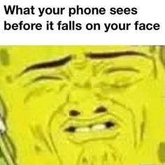 Memes