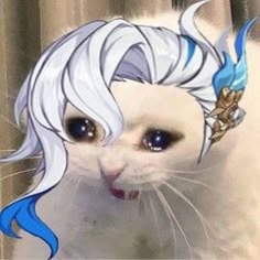 Neuvillette Pfp