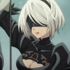 2b Pfp