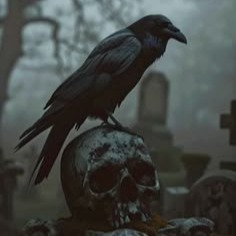 Crow Pfp