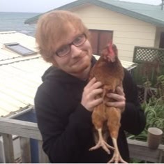 Ed Sheeran Pfp