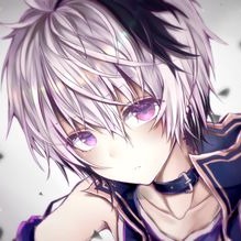 V Flower Pfp