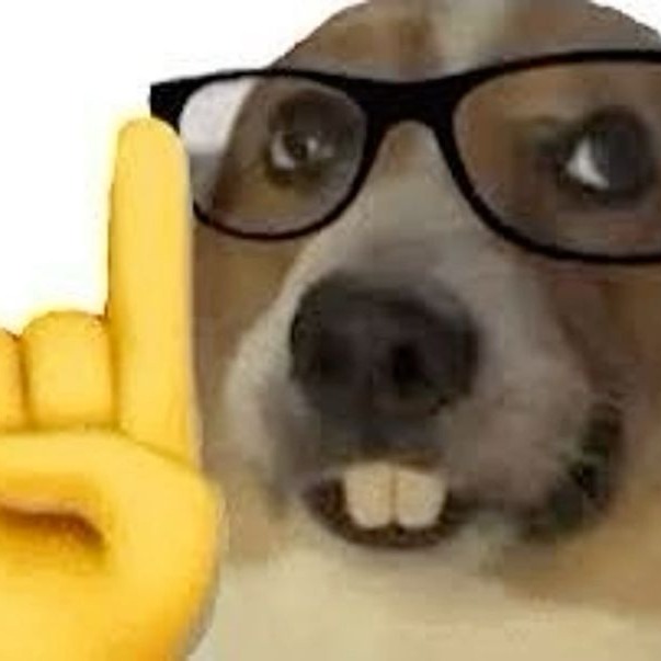 Meme Dog Icon