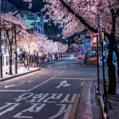 Korean Aesthetic Pfps and Icons - For Discord, Instagram & TikTok