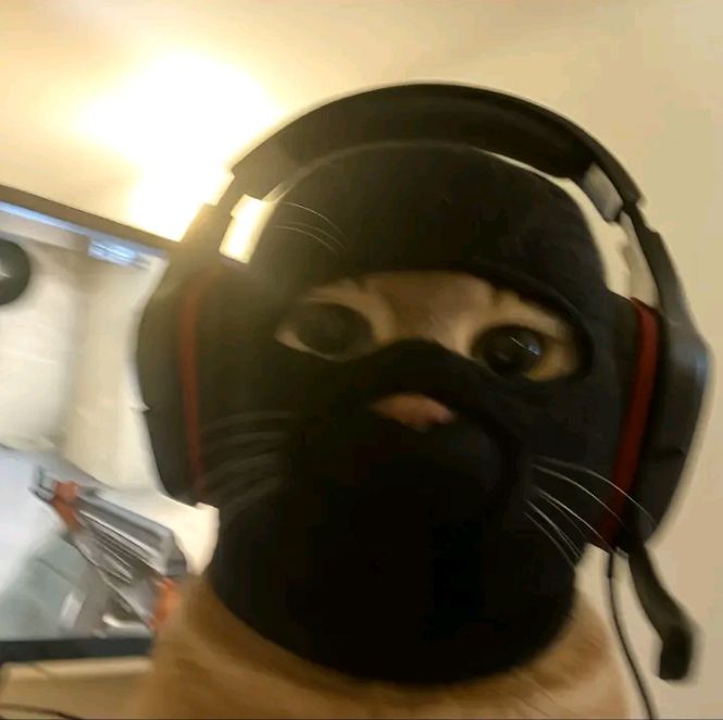 ski mask cat