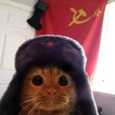 Communist Pfp