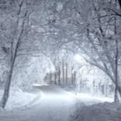 Winter Profile Picture