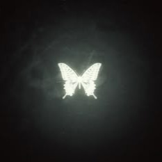 Aesthetic Icon