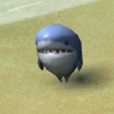 Shark Display Picture