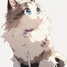 Anime Cat User Picture Profile Picture