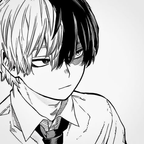 8917-todoroki-manga.png