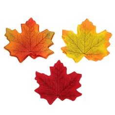 Fall Display Picture