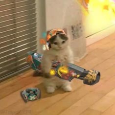 Raze Pfp
