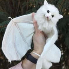 Bat
