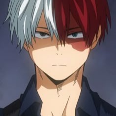 Todoroki Icon