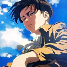 Levi