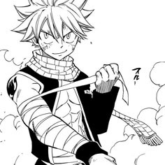 Fairy Tail Manga