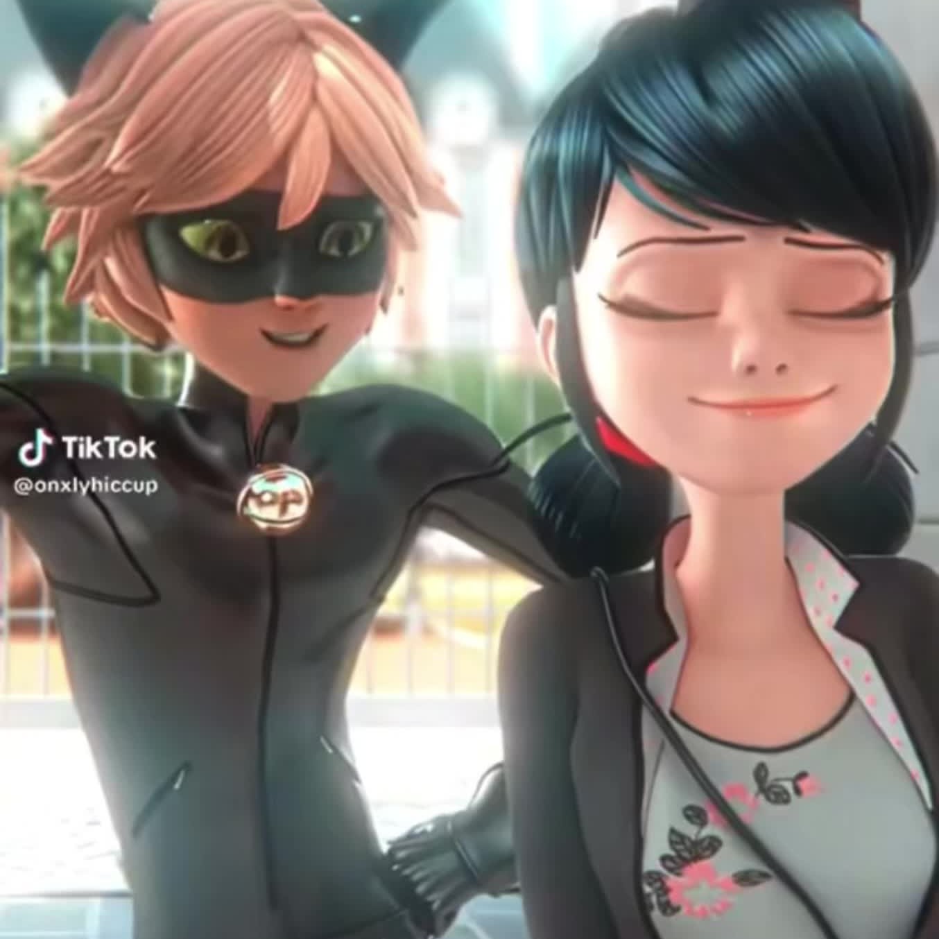 Ladybug And Cat Noir