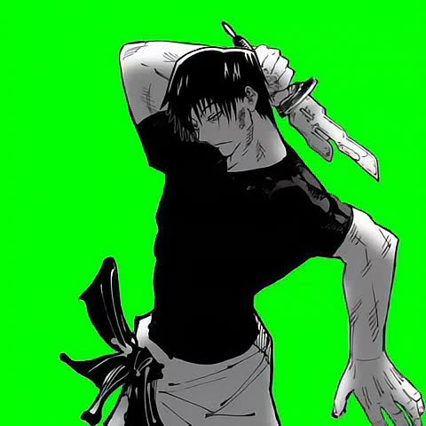 Toji Fushiguro Profile Avatar Profile Picture