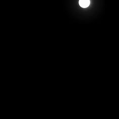 Dark