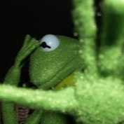 Kermit Meme