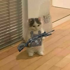 Cat With Gun