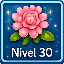 Nivel 30