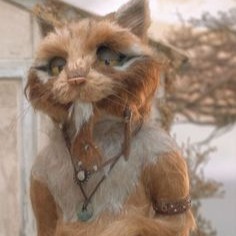 Fantastic Mr Fox Matching