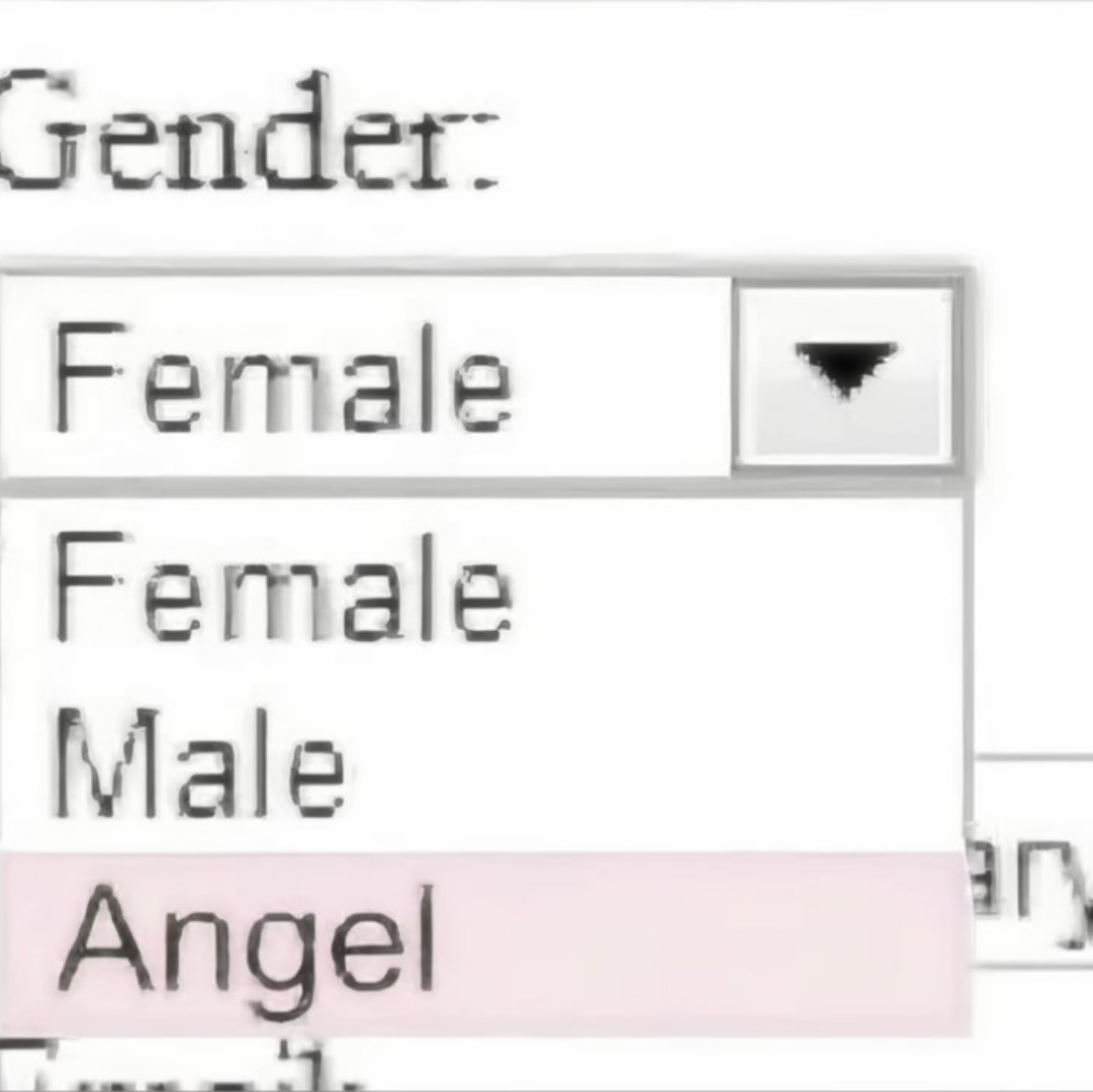 Gender:Angel Pfp