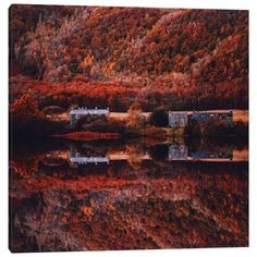 Autumn Profile Image