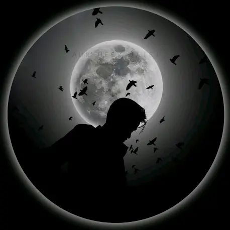 black Pfp