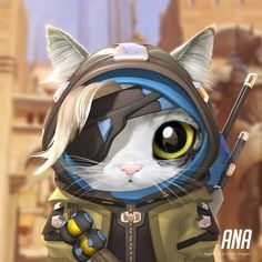 Overwatch Cat