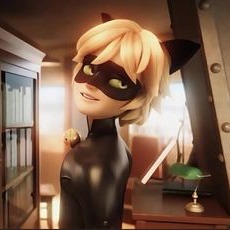 Cat Noir