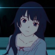Hitagi Senjougahara Pfp