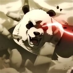 Panda Jjk