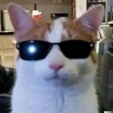 Cool Cat / With Sunglasses